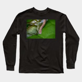 Unique and organic photo of a Polydesmid millipede Long Sleeve T-Shirt